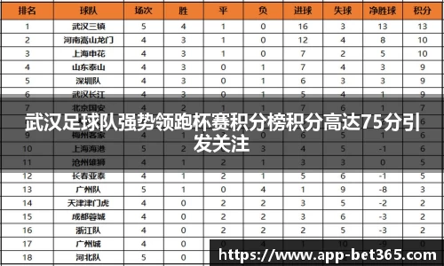 武汉足球队强势领跑杯赛积分榜积分高达75分引发关注